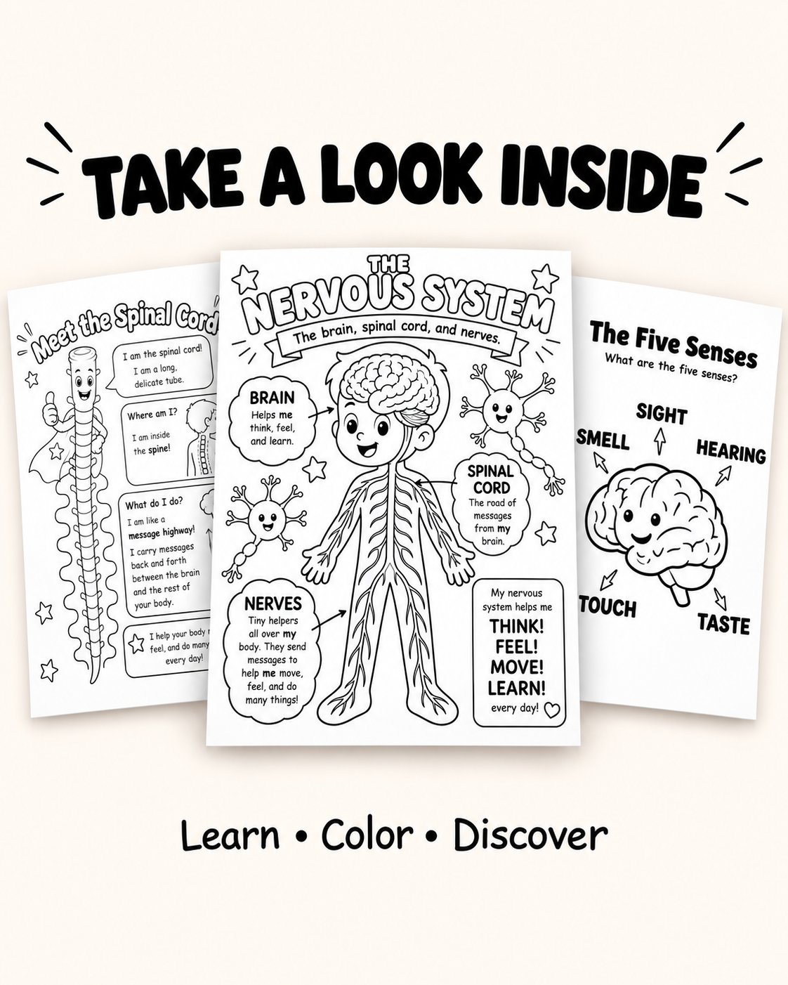 Explore the Nervous System: A Coloring Adventure | Learning & Coloring Book - Image 3